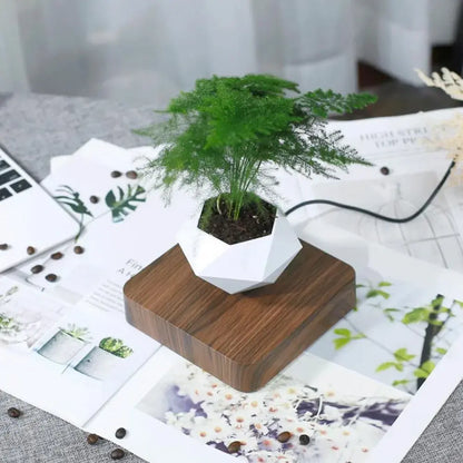 Levitating Air Bonsai Rotation Flower Pot FlamingWick - Home Décor